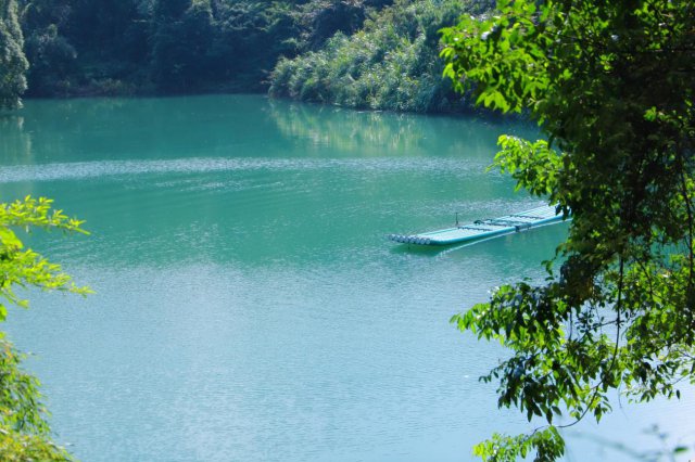 ʷϲȫ׼Ӫɭֹ԰١֮֡